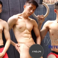 PETERFEVER - INTRODUCING 飞机